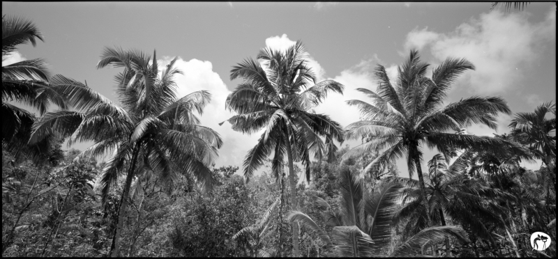 2017-05-Indonesia-03-003