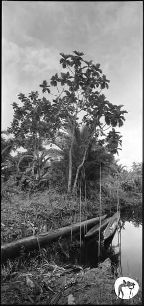 2017-05-indonesia-06-002
