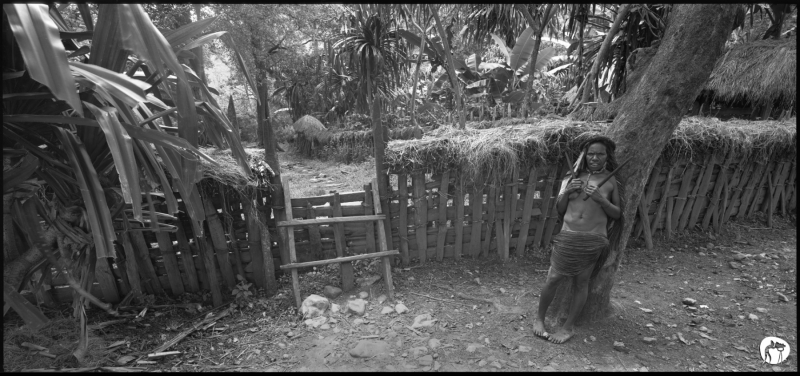 2017-05-indonesia-07-006