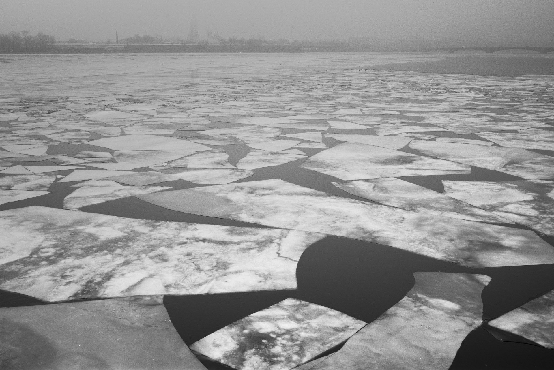 2015-03-Piter Fog-002