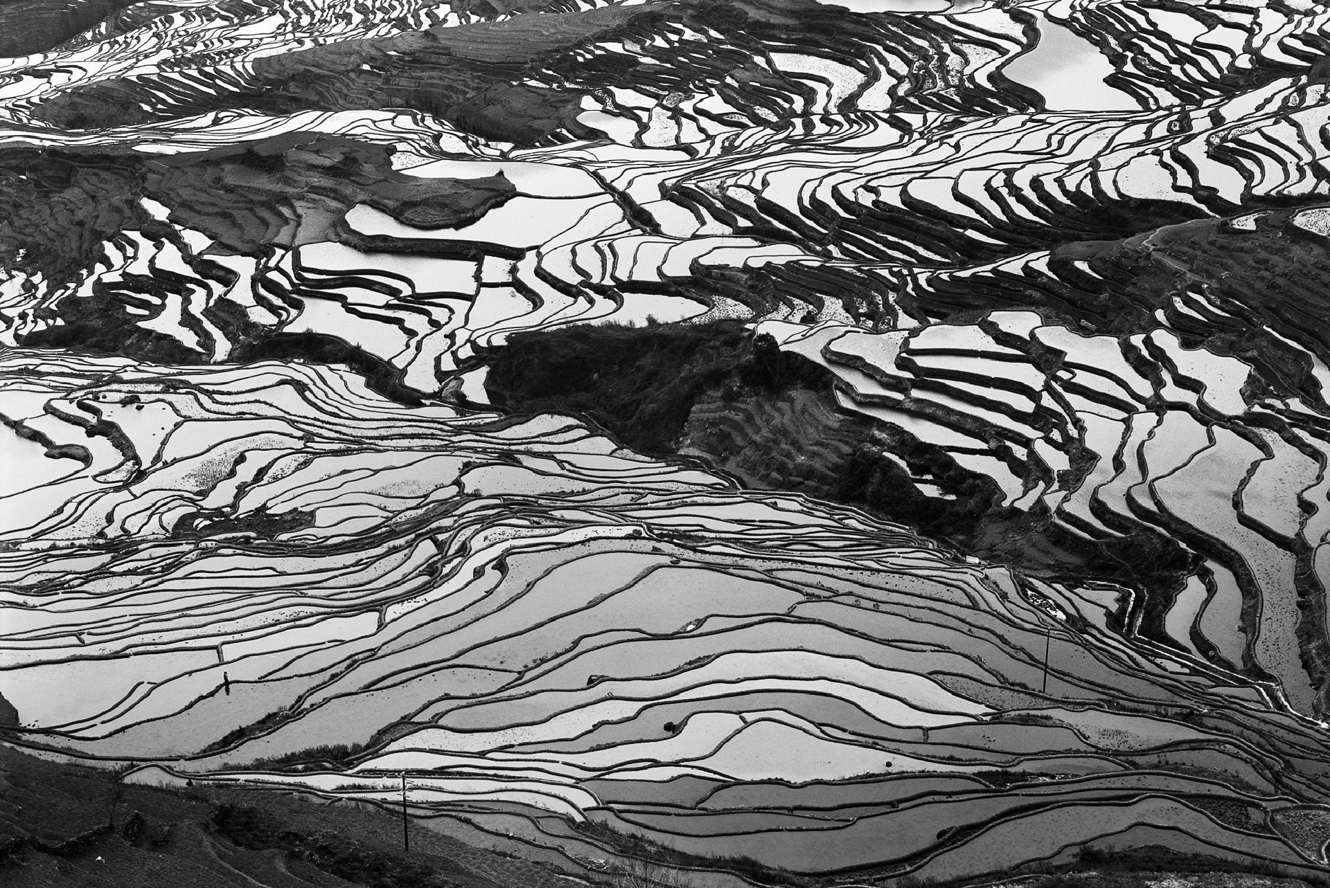 2019_02_CHINA_023